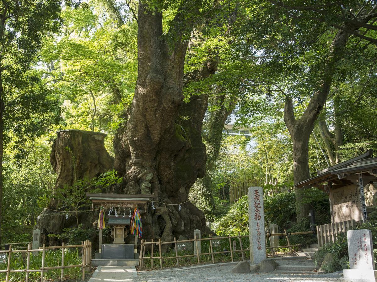 Tkp Lectore Atami Momoyama Exterior photo